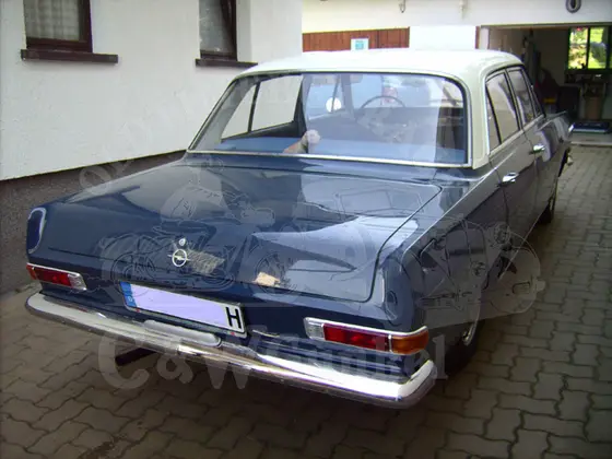 Opel Olympia Rekord von hinten – Kundenfahrzeug
